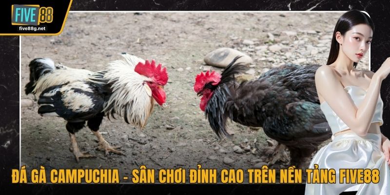 Đá gà Campuchia